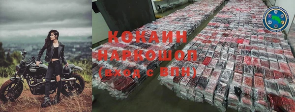 прущие грибы Алексин